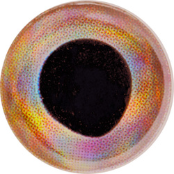 FFGene Living 3-D Eyes