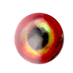 H2O Lightweight Rainbow Dumbbells