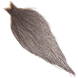 Whiting Bronze Cape