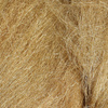 Medium Brown Olive