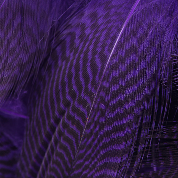 Hareline Teal Flank Feathers