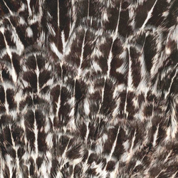 FFGene India Hen Speckled Saddles