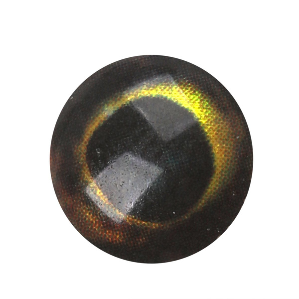 H2O Lightweight Rainbow Dumbbells