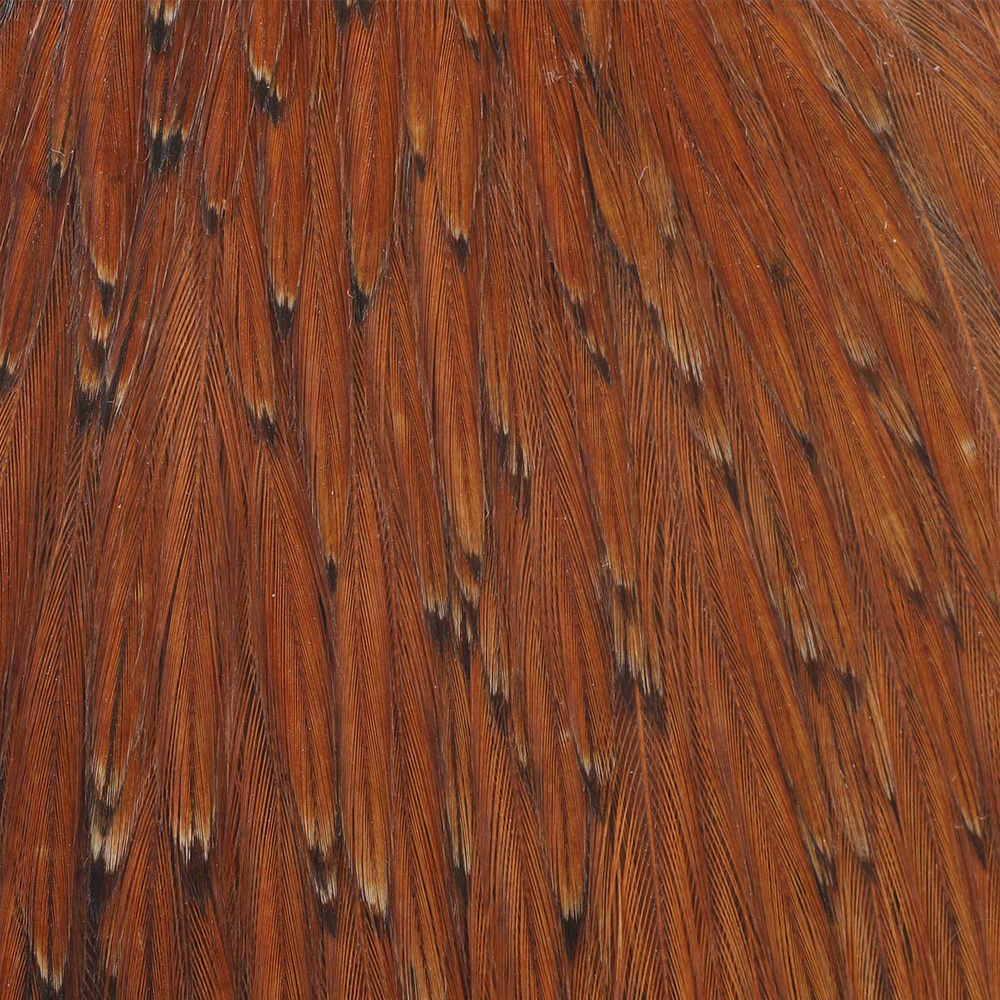 #1 - Brown