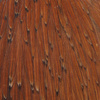 Prime - Brown