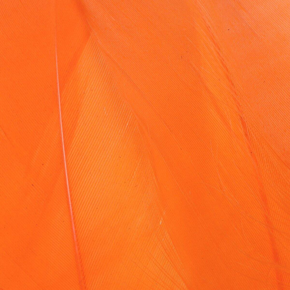 Hot Orange