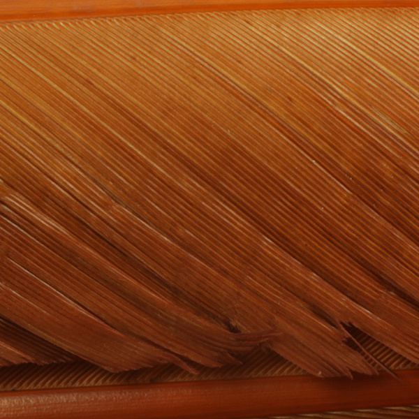 Hareline Turkey Biot Quills