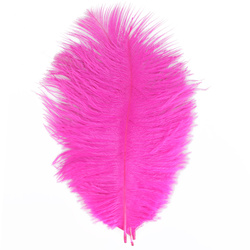 FFGene Ostrich Hackle Feathers