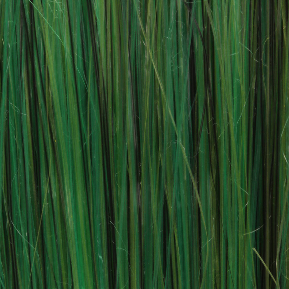 Seaweed
