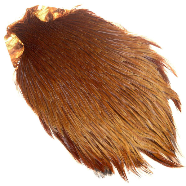 FFGene India Cock Cape Class Top