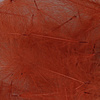 Cinnamon
