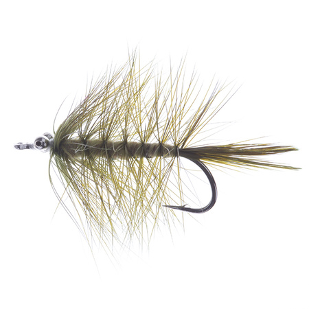 Magnus Olive