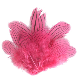 FFGene Silver Pheasant Feathers