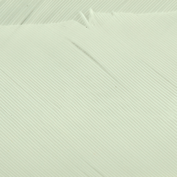 Hareline Turkey Biot Quills