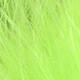 Fl. Charteruse