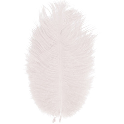 FFGene Ostrich Hackle Feathers