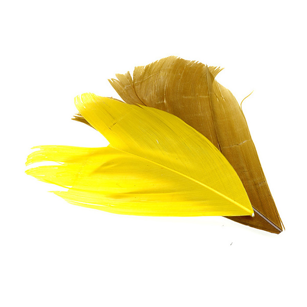 FFGene Condor Substitute