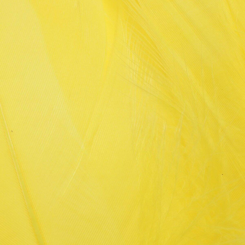 Brt. Yellow