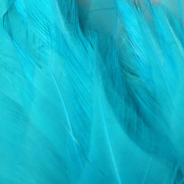 FFGene Strung Saddle Hackle