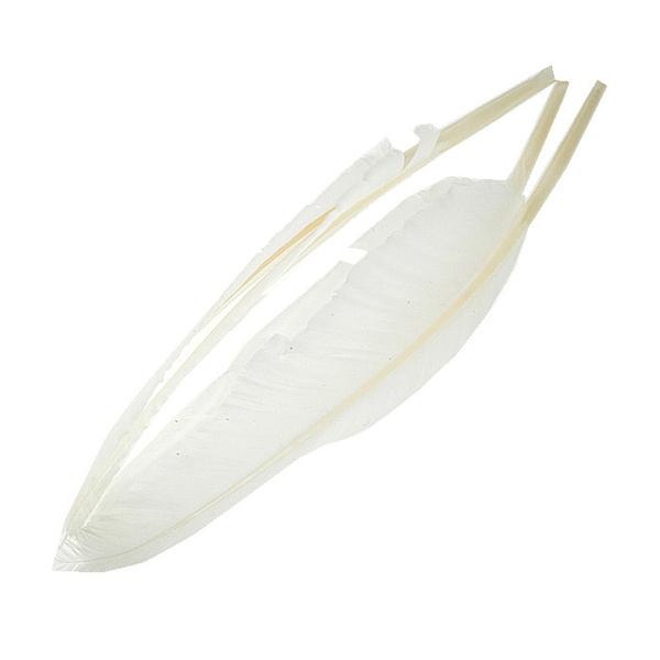 FFGene Duck Quills White