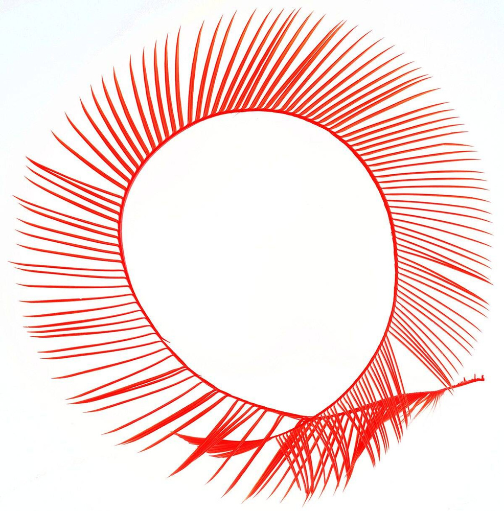 Fl. Red