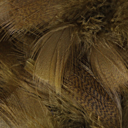 Hareline Mallard Flank