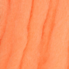 Salmon Egg
