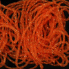 Fl. Orange