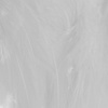 Medium White