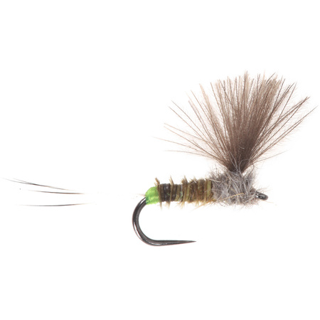 No Hackle Olive Quill