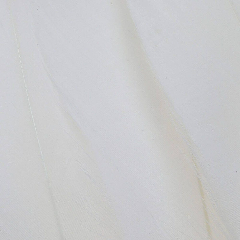 Bleached White