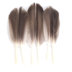 FFGene Mallard Wild Quills