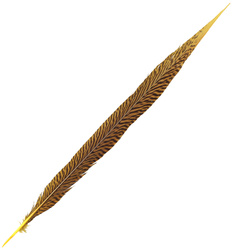 FFGene Golden Pheasant Tail