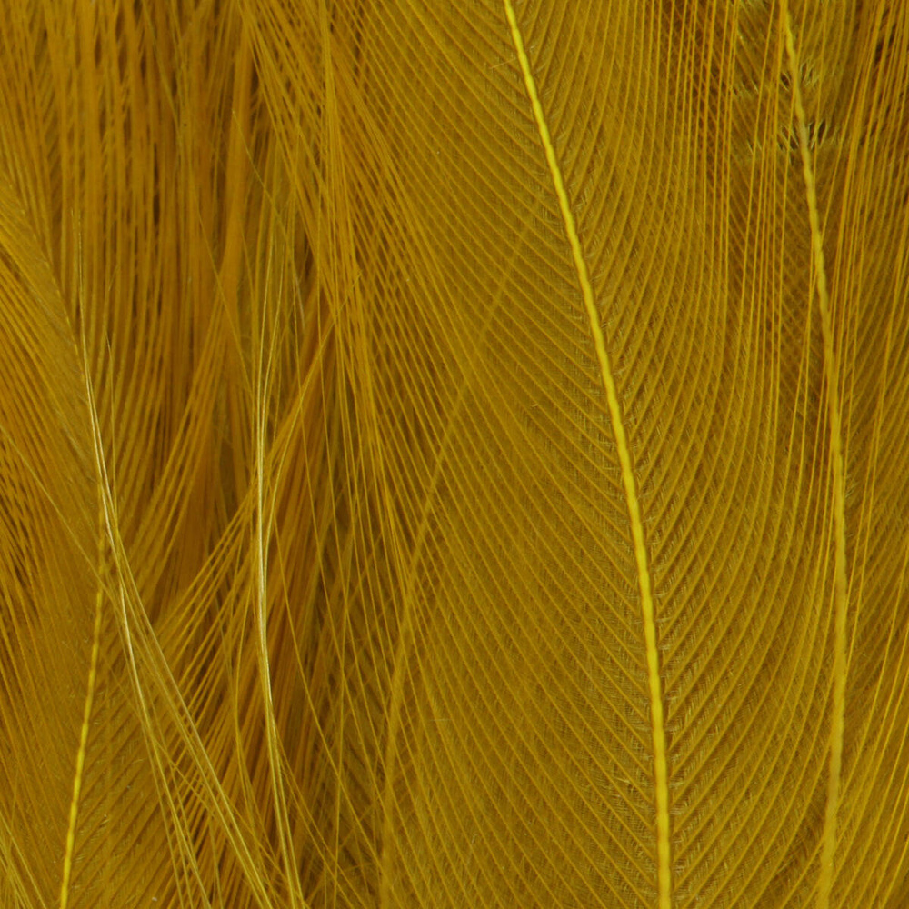 Golden Olive