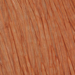 Wapsi Dry Fly Neck Select Sections Butt