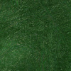 Beetle.Green