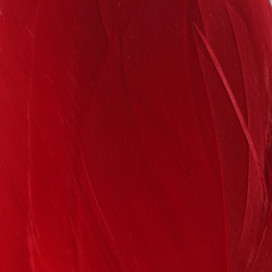 Hareline Select Goose Shoulder