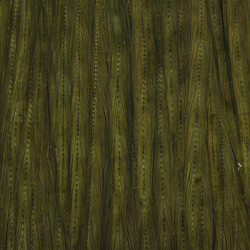 Ewing Top Capes Dyed