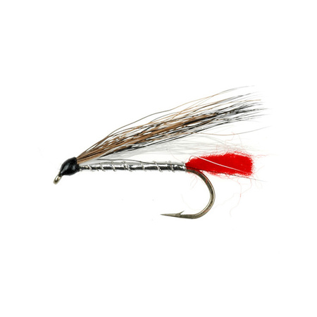Black Nose Dace Natural (047)