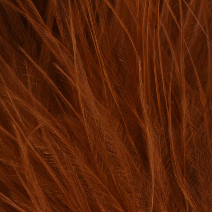 Rusty Orange