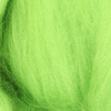 Insect Green