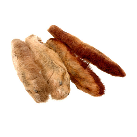 Snowshoe Rabbit Feet