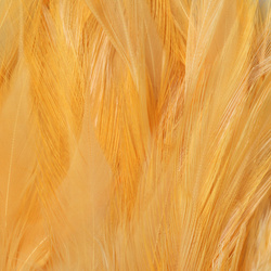 FFGene Strung Saddle Hackle