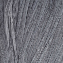 Wapsi Dry Fly Neck Select Sections Butt