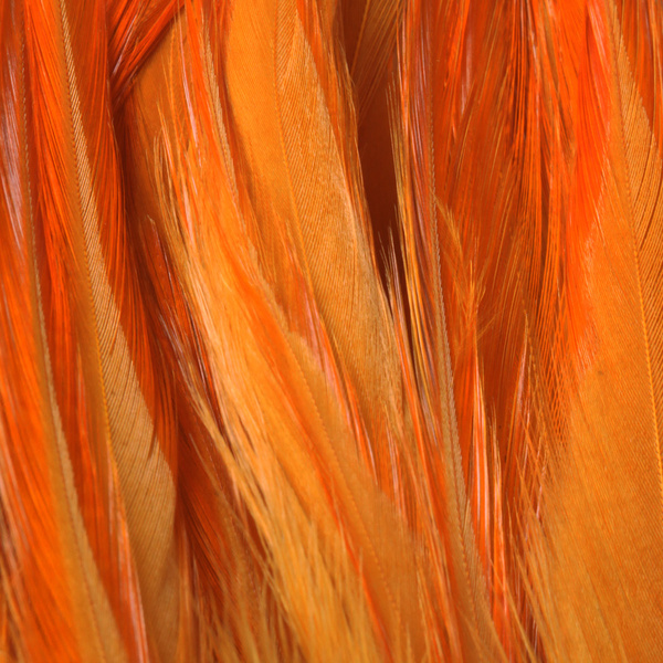 FFGene Strung Saddle Hackle