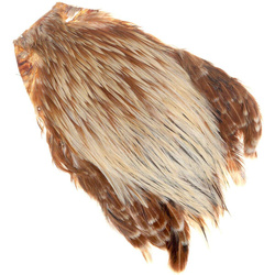 FFGene India Cock Cape Class A