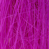 Hot Purple