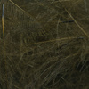 Medium Olive