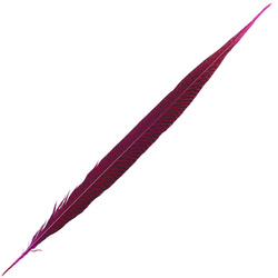FFGene Golden Pheasant Tail