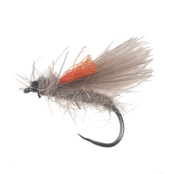 Orange Indicator CDC Hare Body